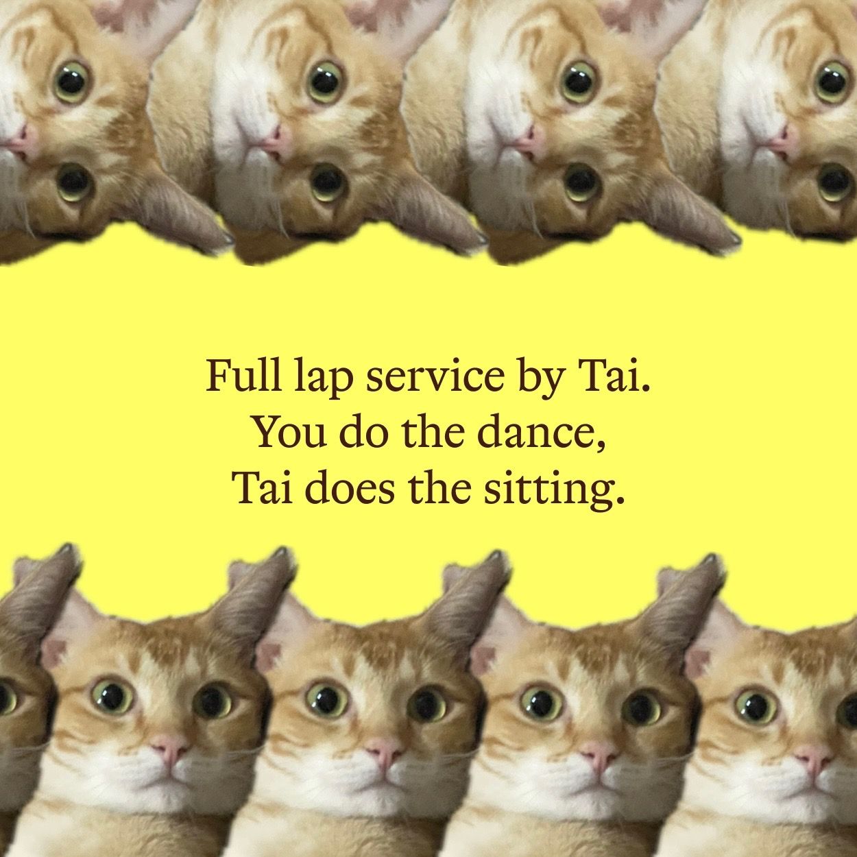 Living' Garfield Dream_0