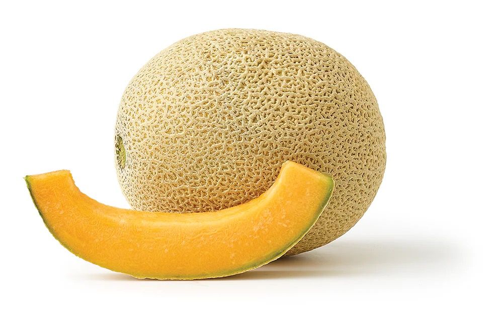 Cantaloupe Melon_0