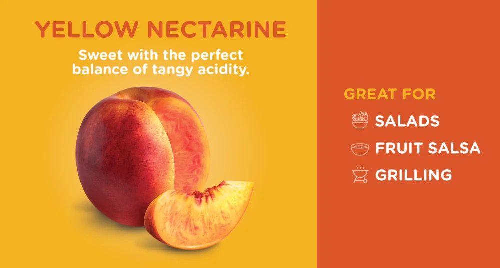Nectarine _1