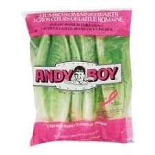 Romaine Lettuce_0