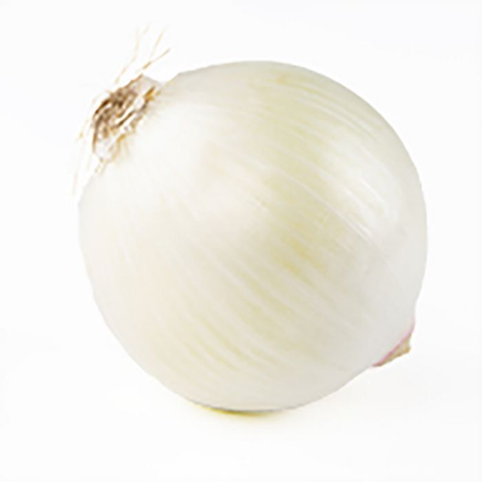 Jumbo White Onion_0