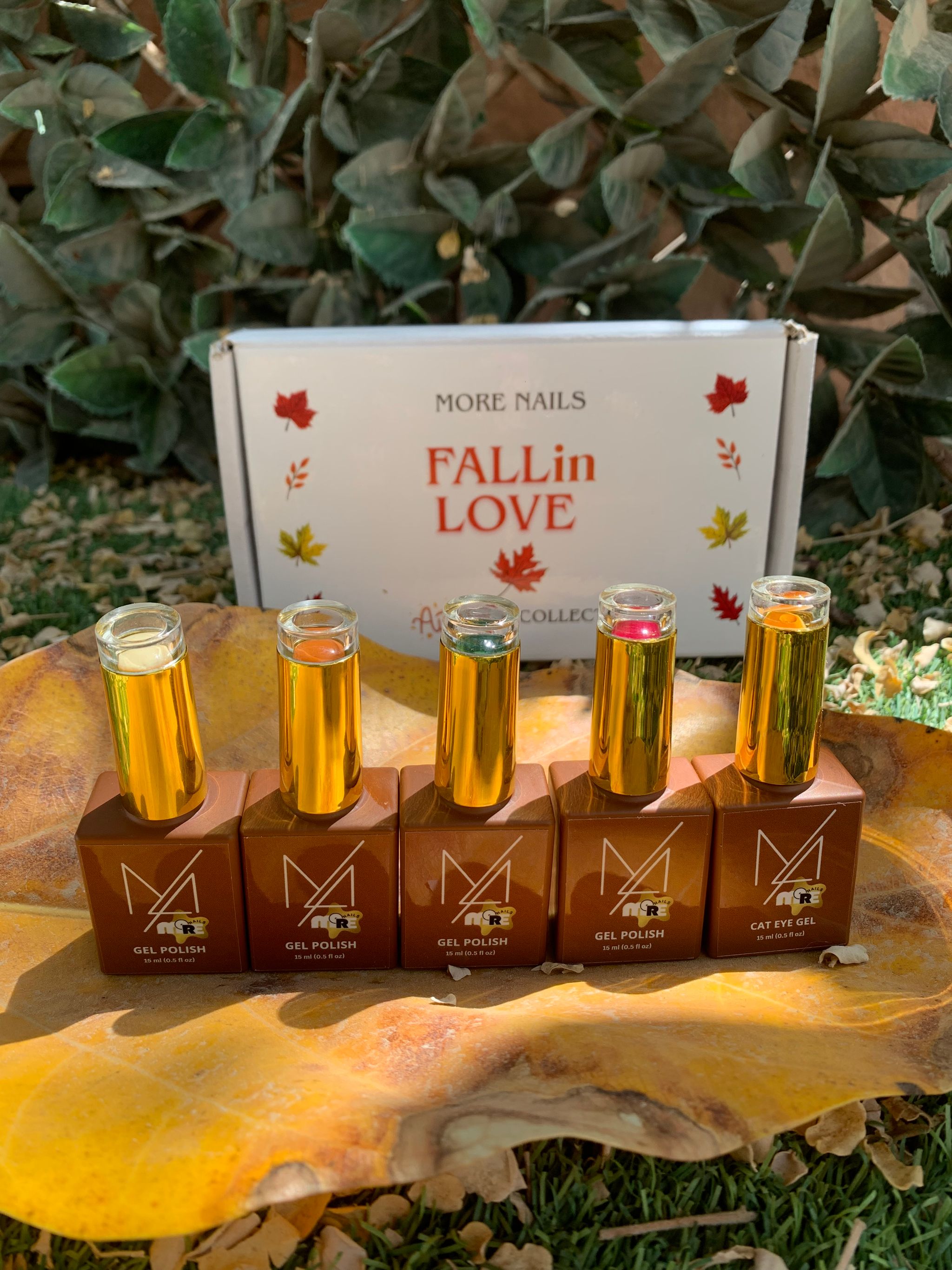 Fall in Love-Autumn Collection _0
