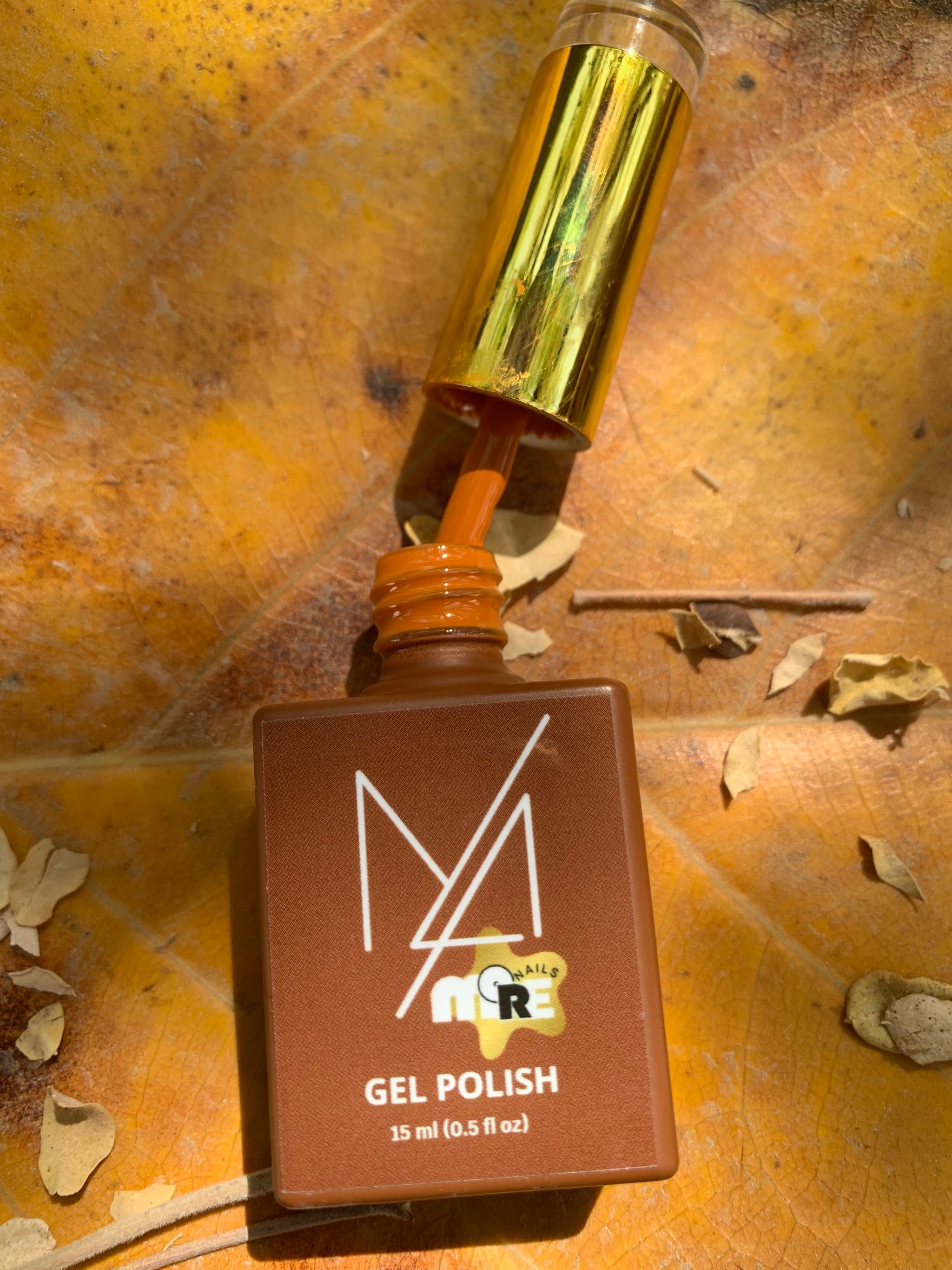 Fall in Love-Autumn Collection _3