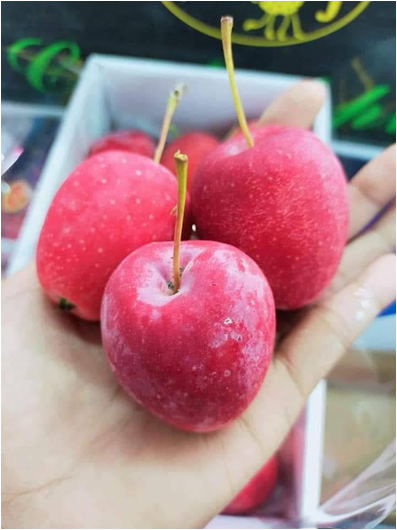 Apple, Princess_1