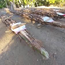 Coffee Experience Tour in Hojancha, plus a visit to Collera Nambi and the Colonial Church in Nicoya. _9