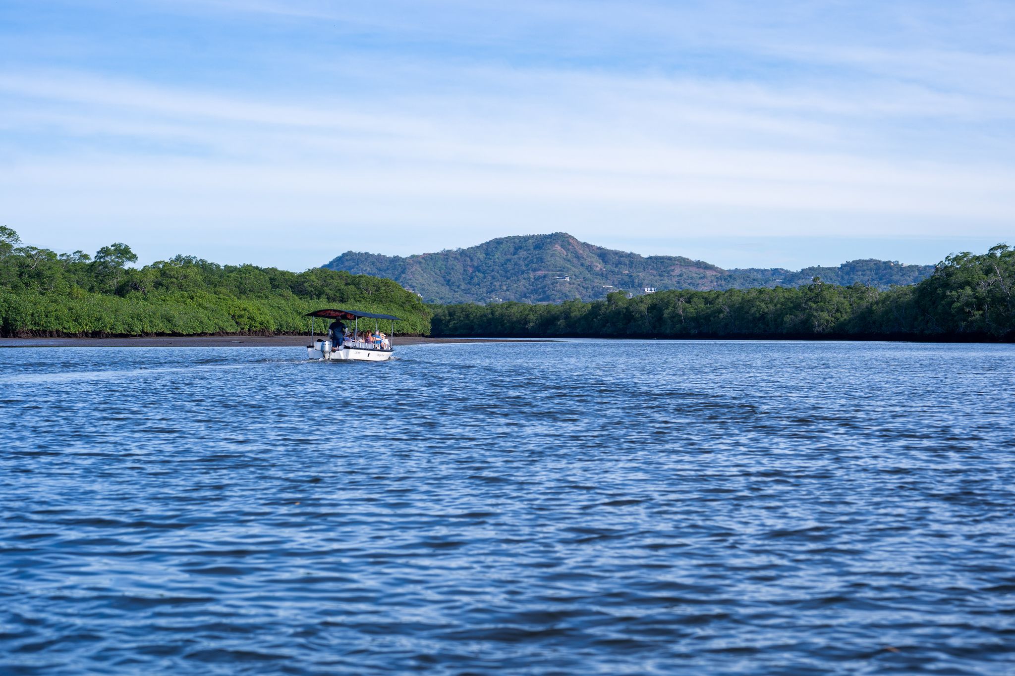 Tamarindo Mangrove Tour 🌿🐒_5