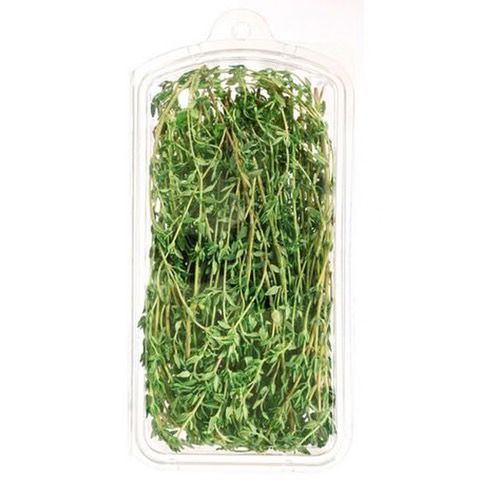 Thyme_0