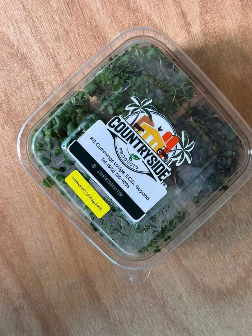 Country Side Products: Microgreens_0