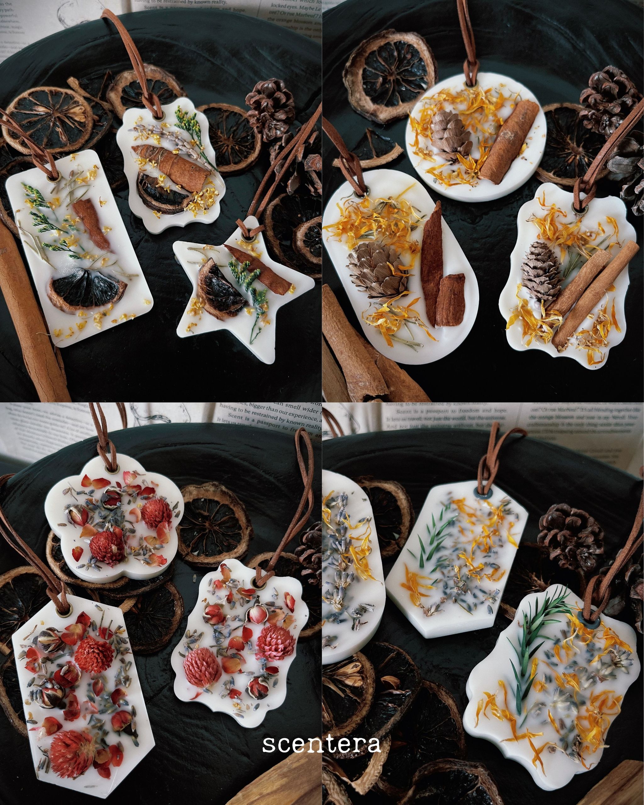 Scented Wax Tablets_1