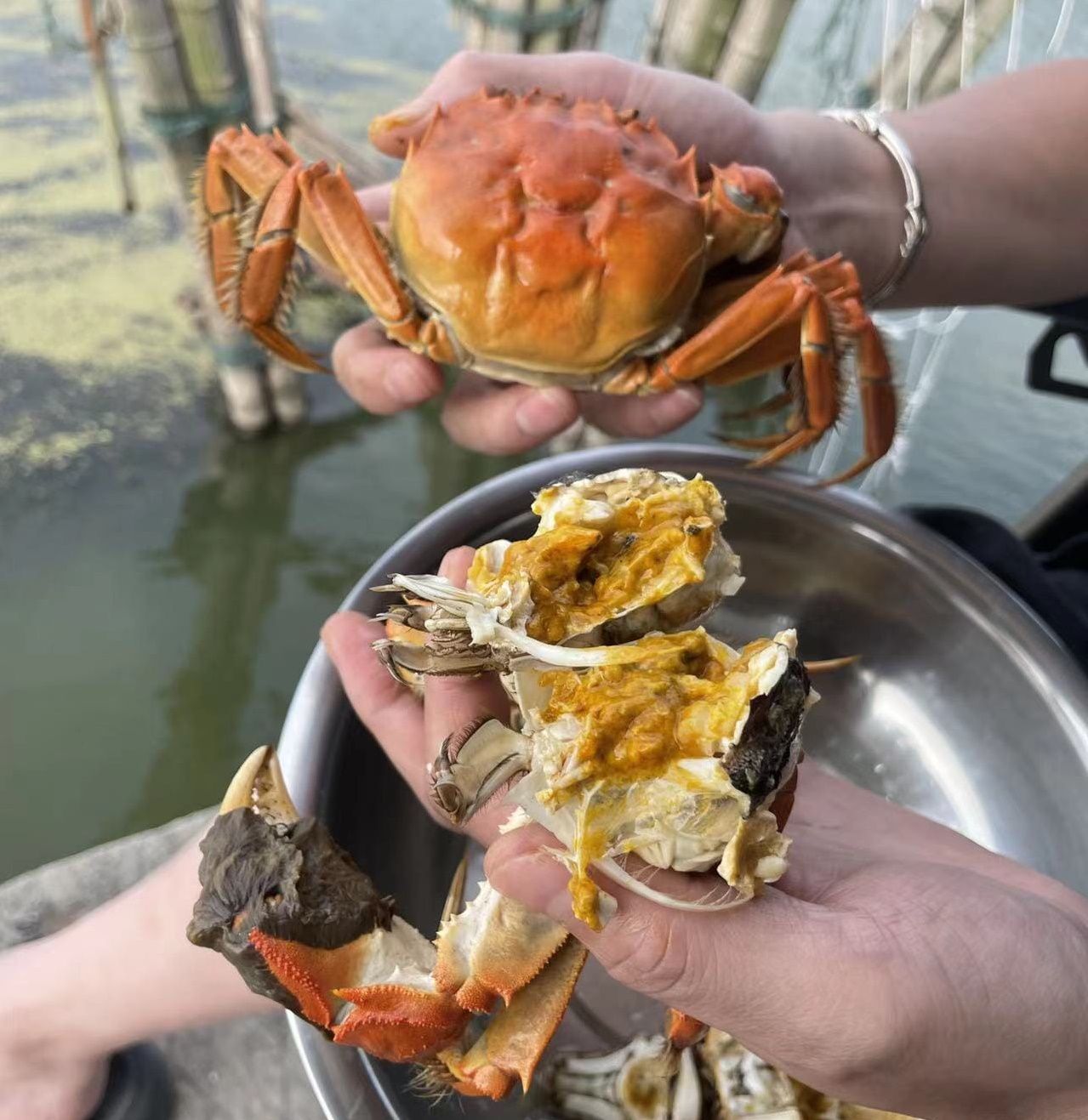 大闸蟹金秋套餐 2位  Golden Autumn Hairy Crab Set for 2_2