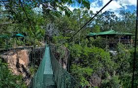 Cañon de la Vieja Tour _5