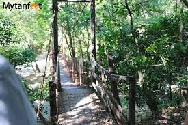 Rincon de la Vieja National Park Tour_2