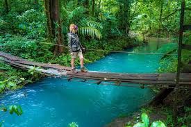 Rio Celeste and Tenorio Volcano National Park Tour_9
