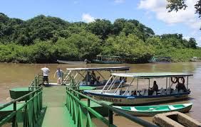Palo Verde National Park, Boat Tour 🛥️🐊_10