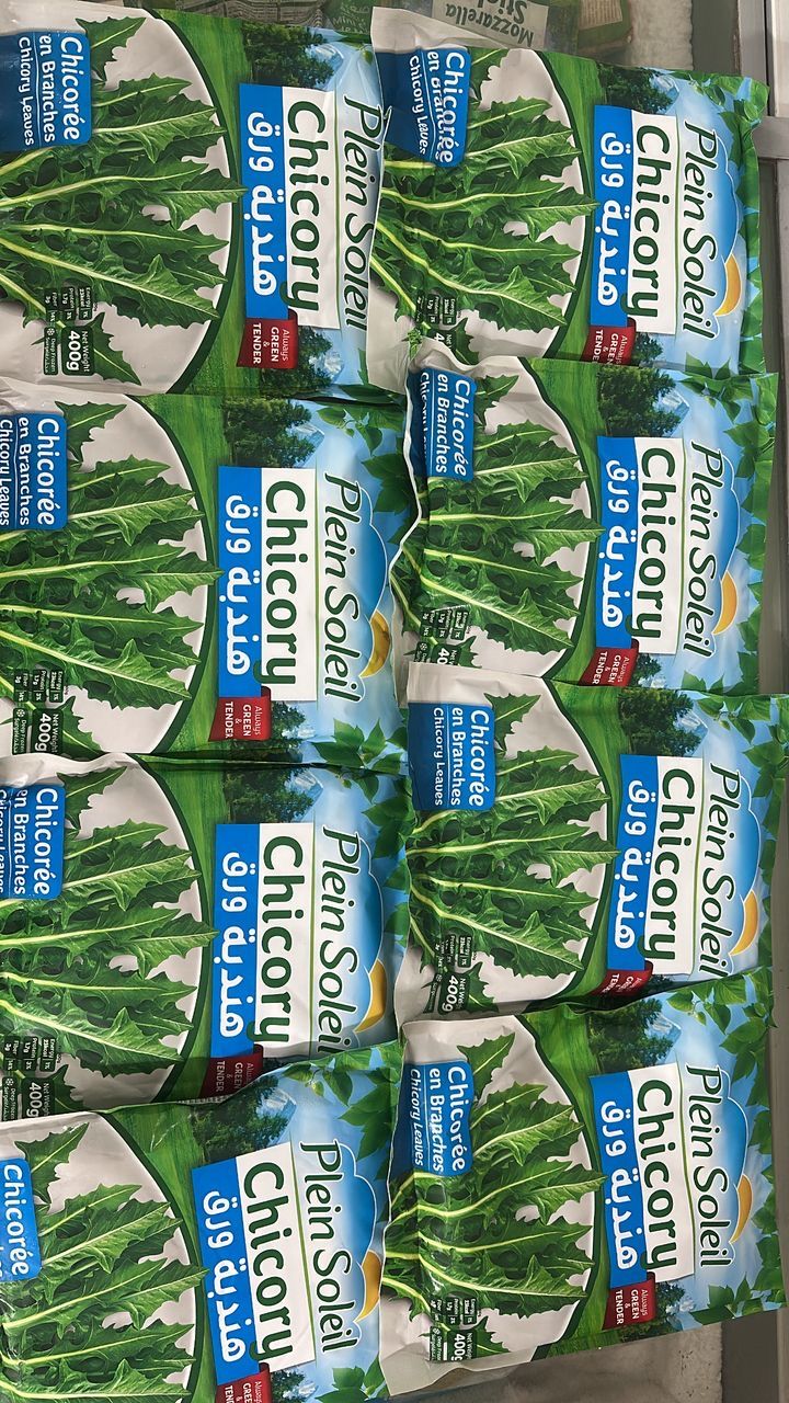 MPS86- Chicory 🥬 Plein Soleil هندباء ورق_0