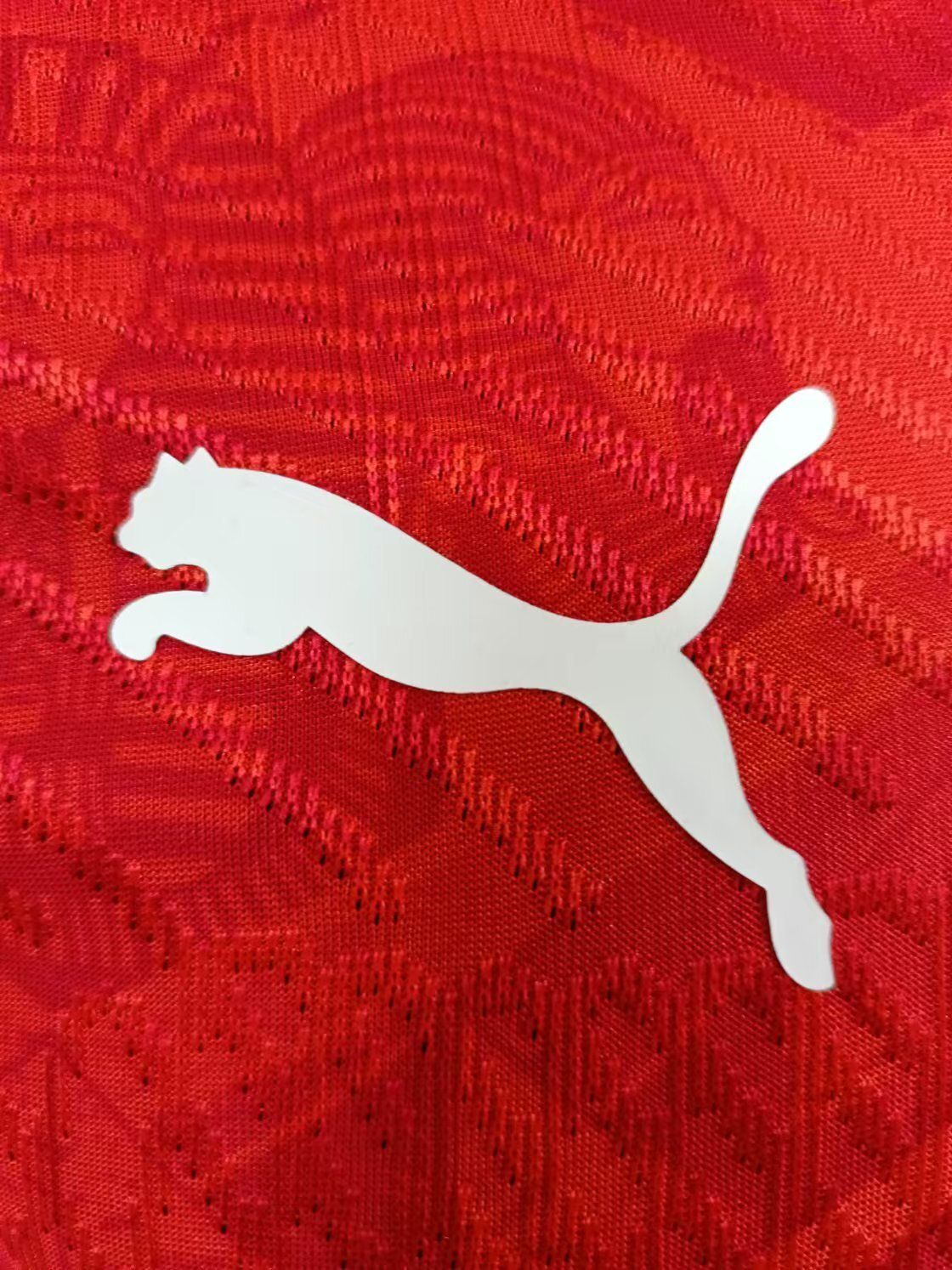 Egypt  2024 Home Shirt (Red)_2