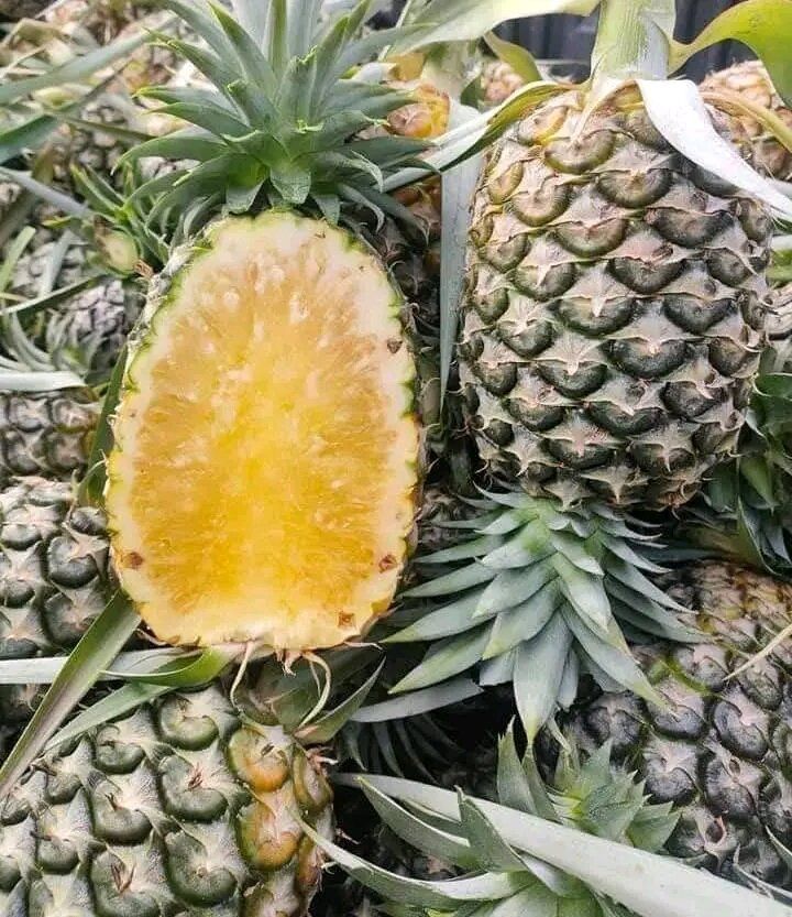 Huay Noon (Thai Honey Pineapple )_1