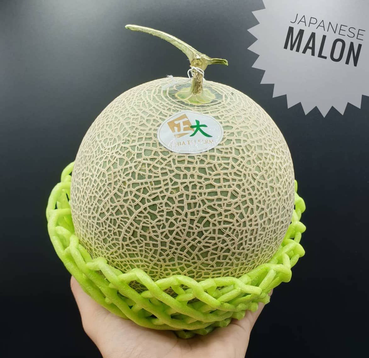 Japanese Melon (Green), Grown in Thailand_2