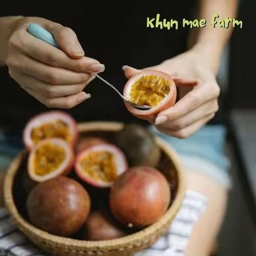Passion Fruit, Chaing Mai _1