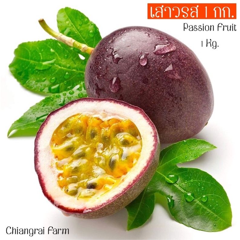 Passion Fruit, Chaing Mai _0