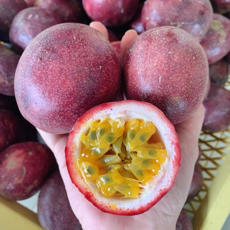 Passion Fruit, Chaing Mai _3