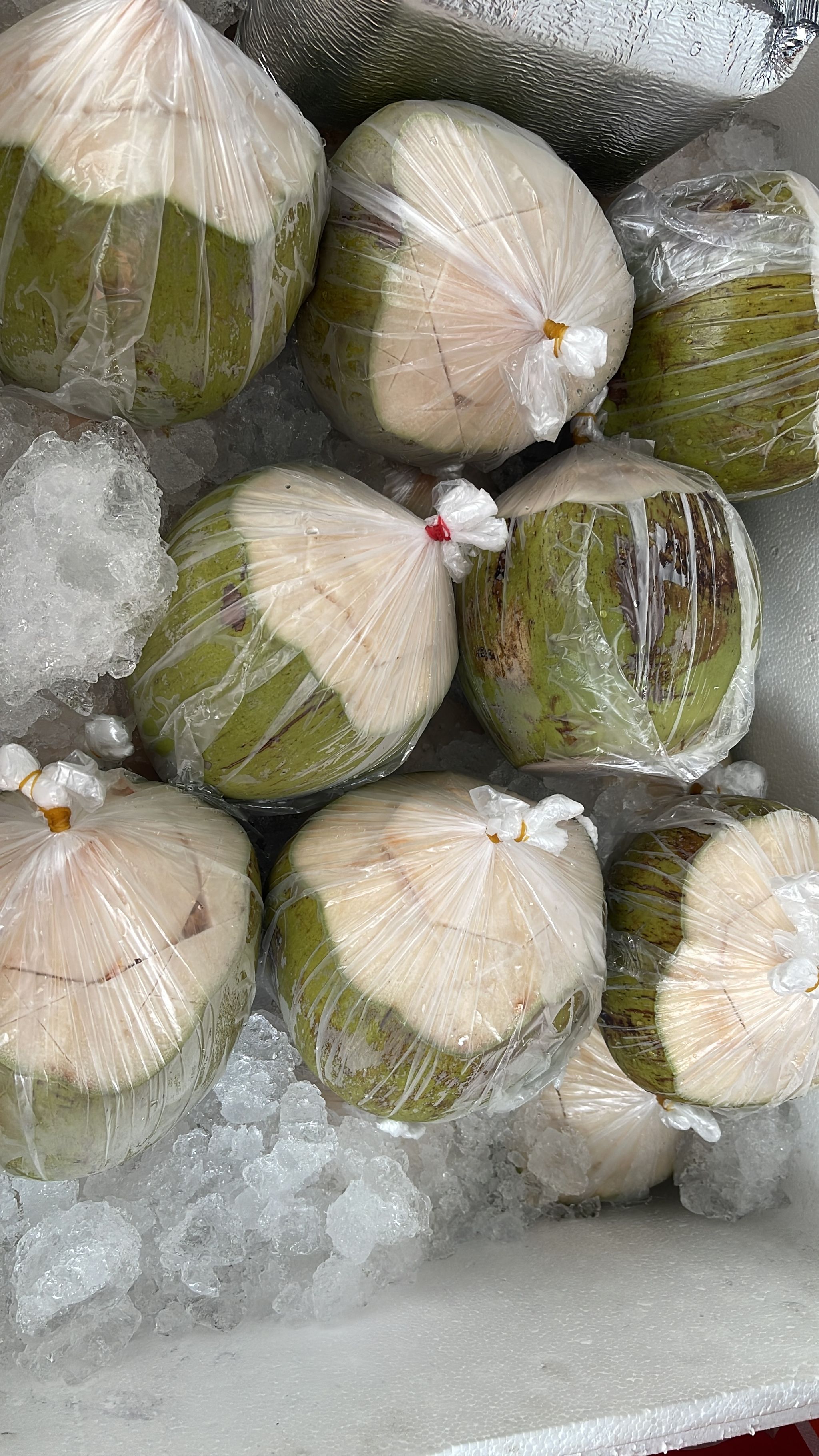 Coconut Jelly in Young Coconut (No preservatives, No added sugar)_1