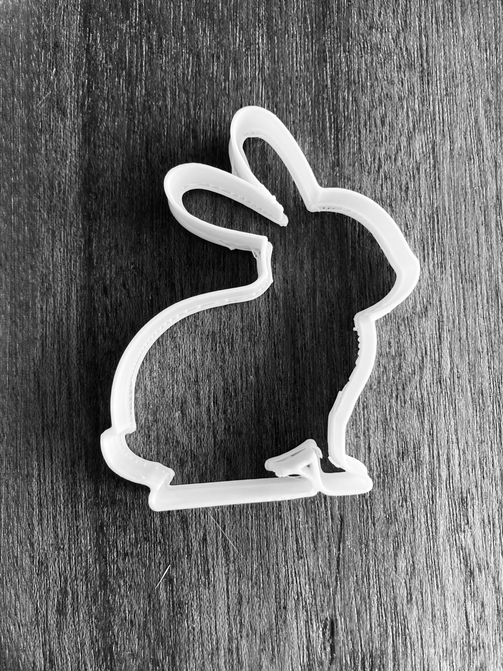 Bunny side profile_0