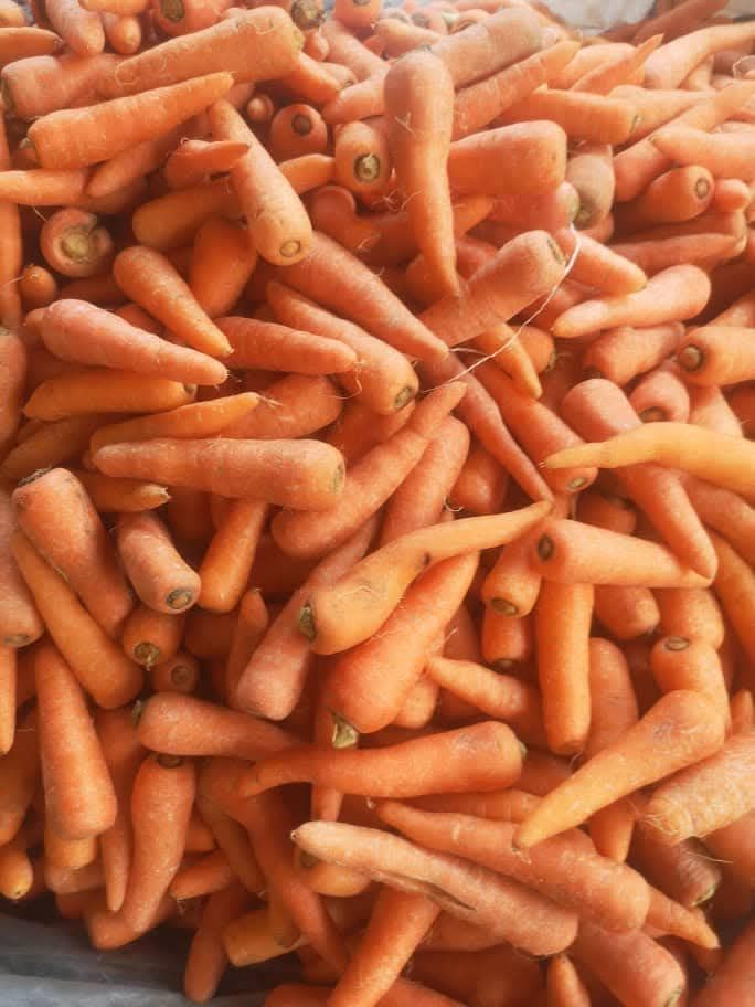Carrots/Kg_0