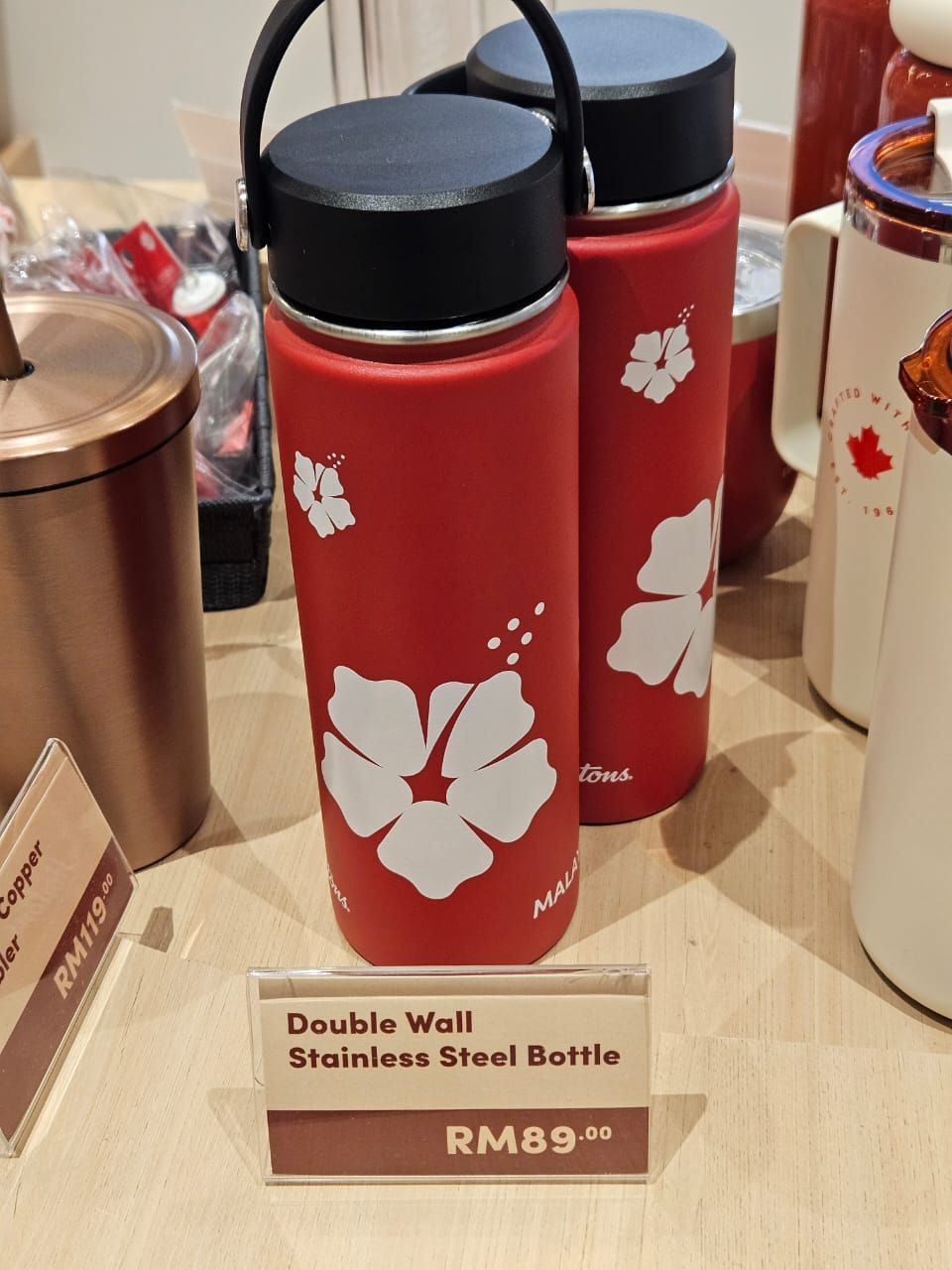 Double Wall Stainless Steel Bottle _0