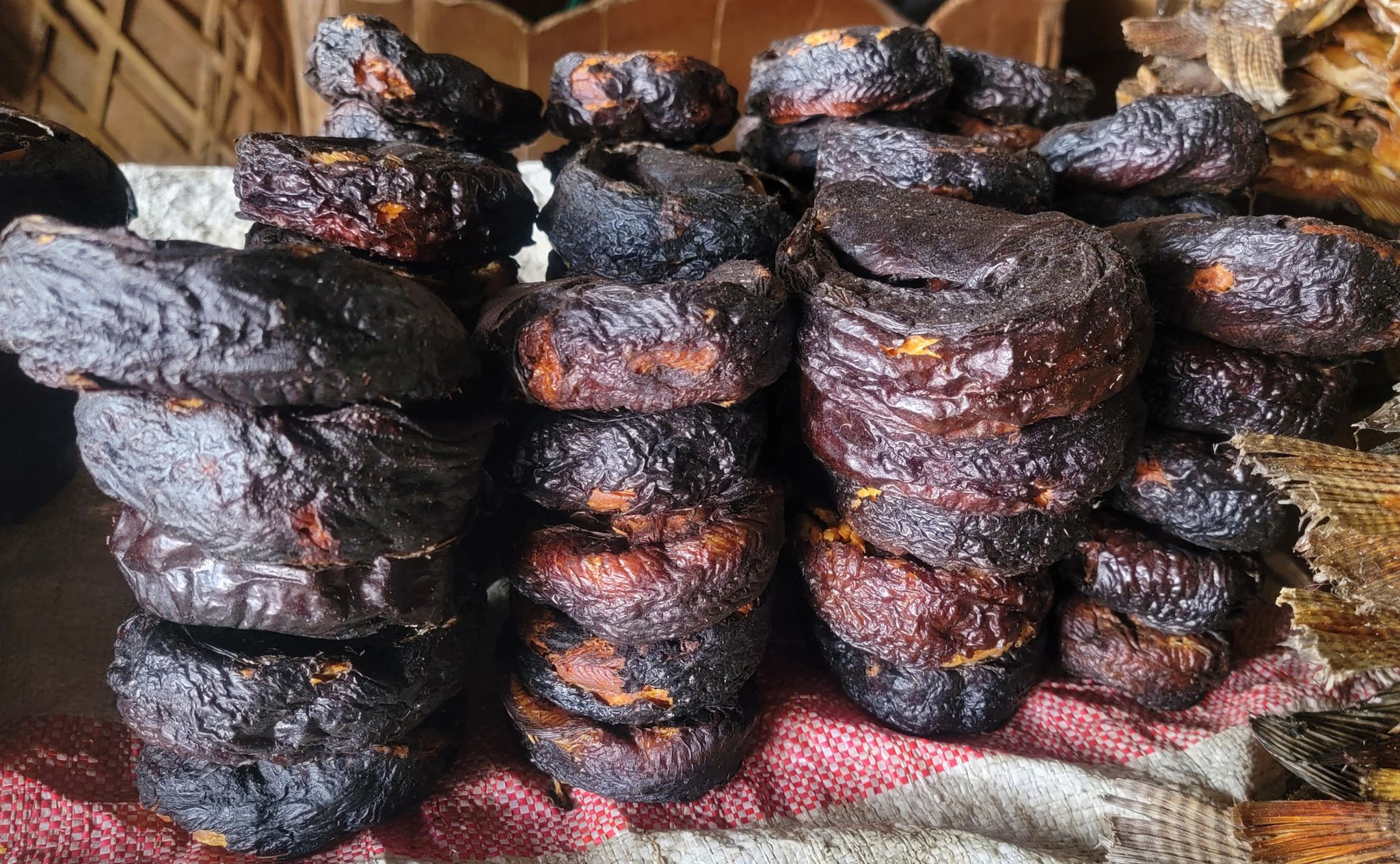 Bubble Fish/ Milonge_0