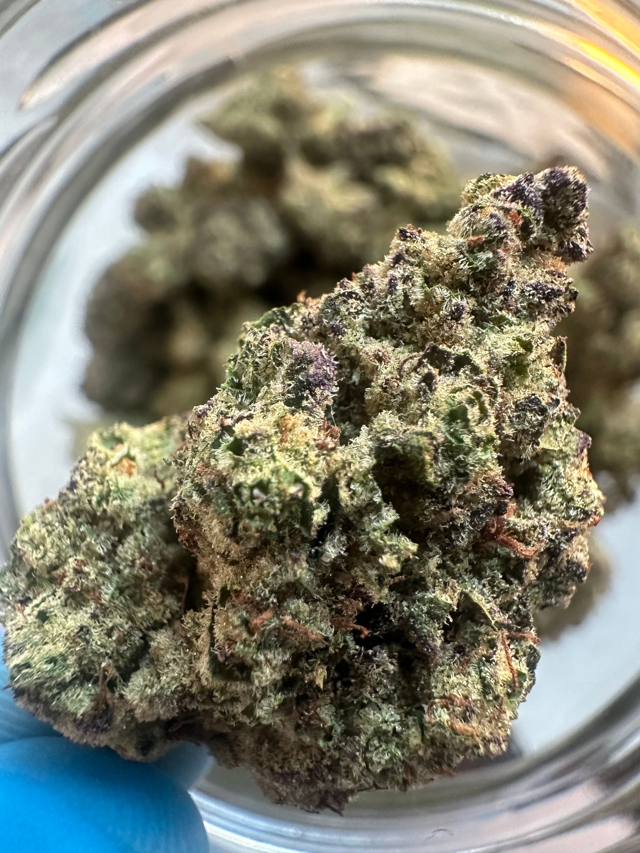 Platinum Michigan Breath_0