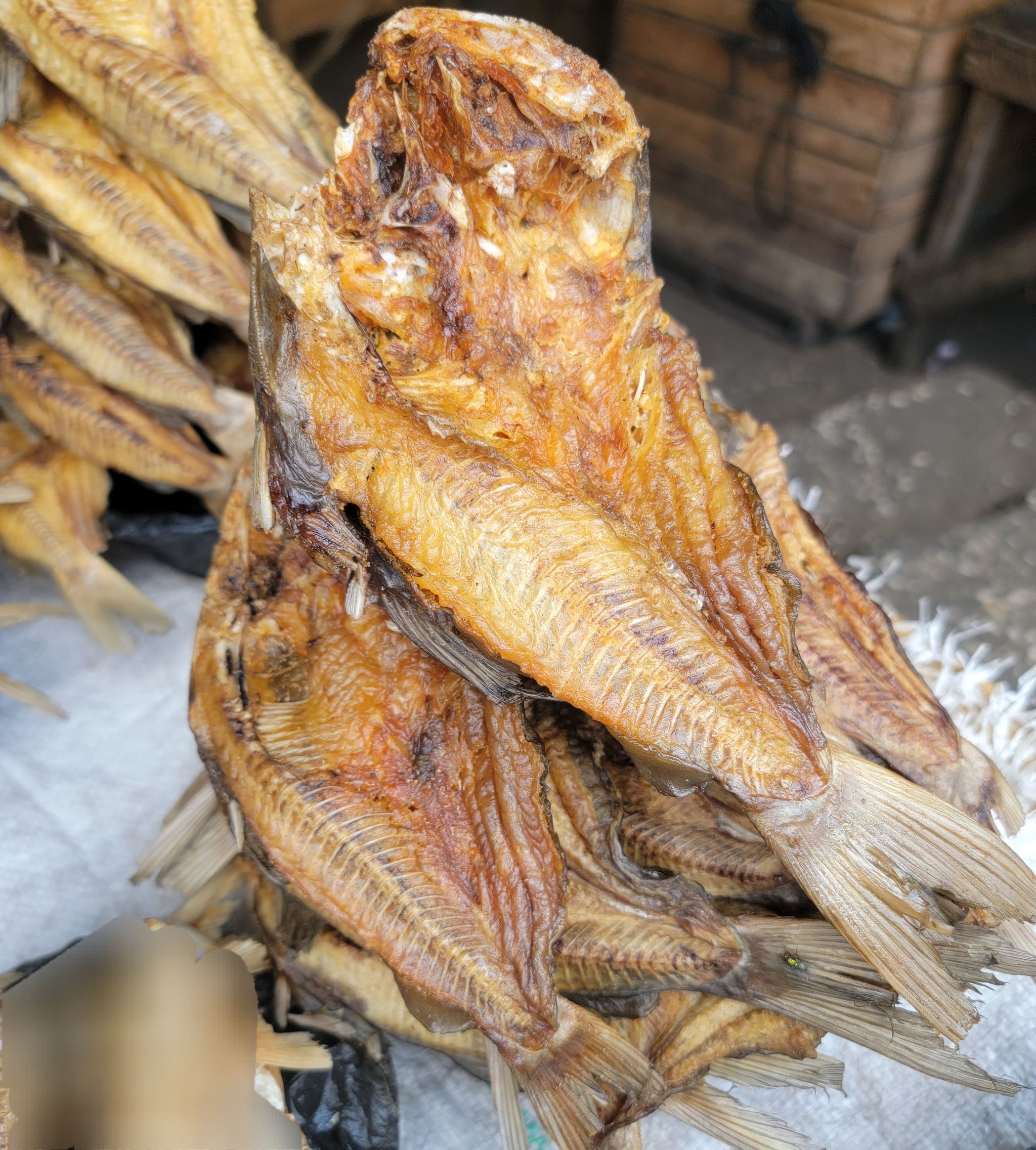 Dry fish Nkolonkolo_0