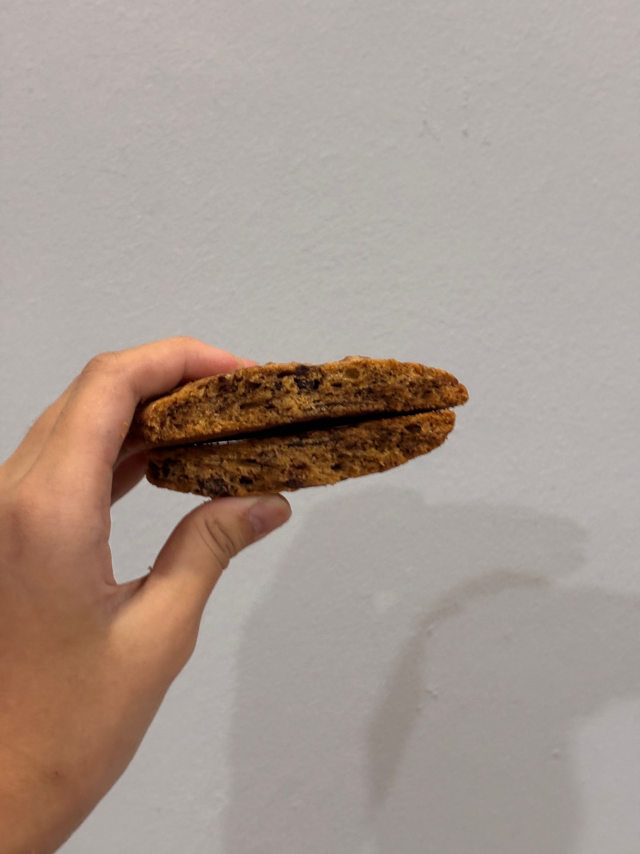 Chocolate Chip Cookies_2