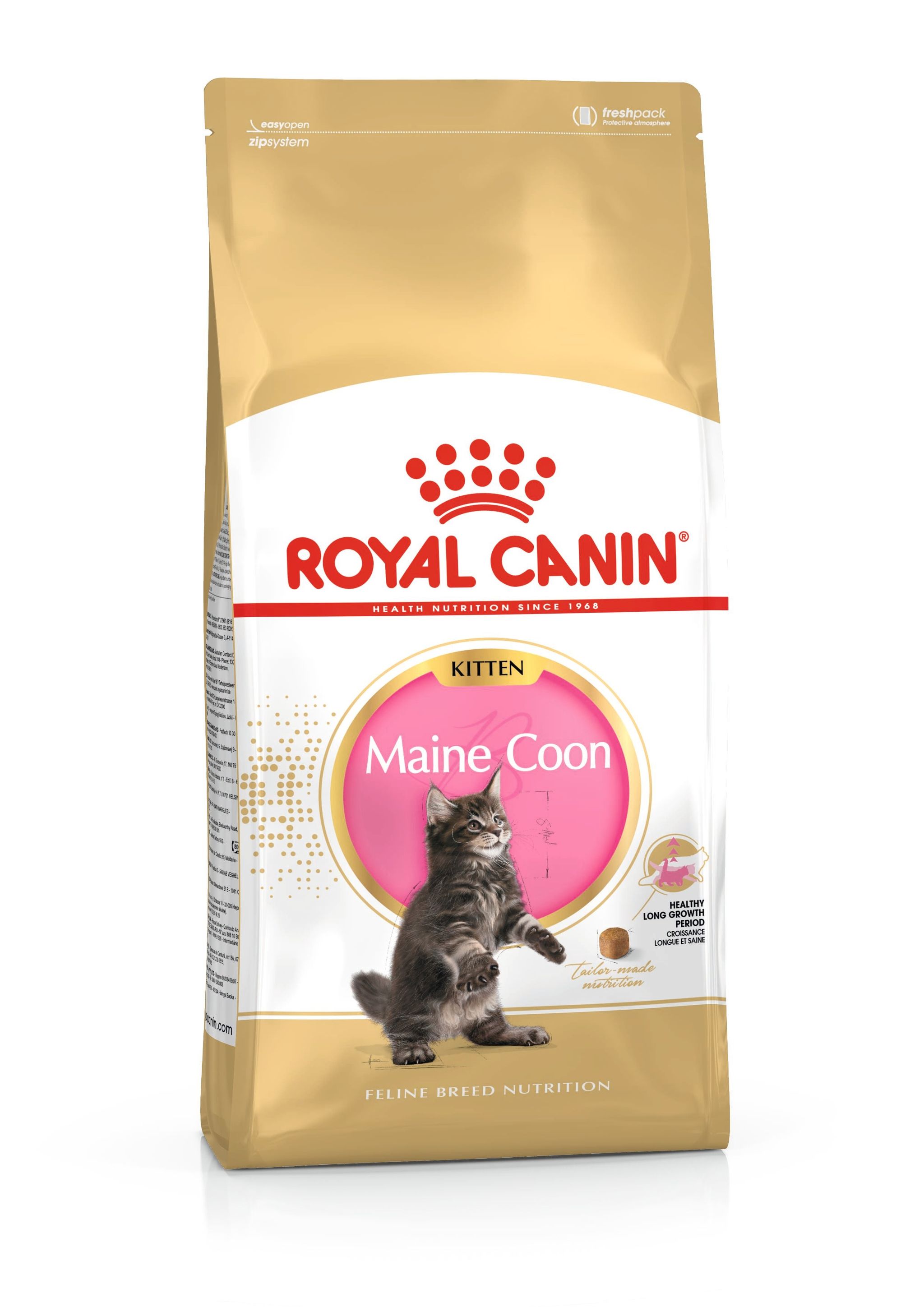 Royal Canin - Maine Coon Kitten_0
