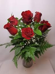 🌷 Media Docena de Rosas_0