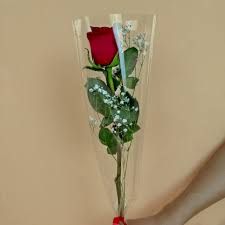 🌹 Rosa individual (una sola rosa)_0