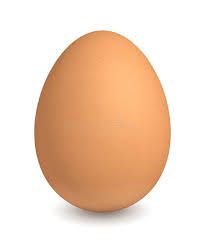 EGG_0