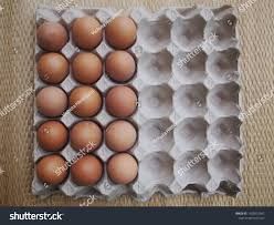 Eggs half tray_0