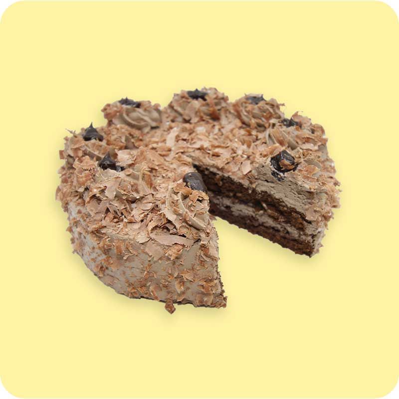 Chocolate Low Cake_0