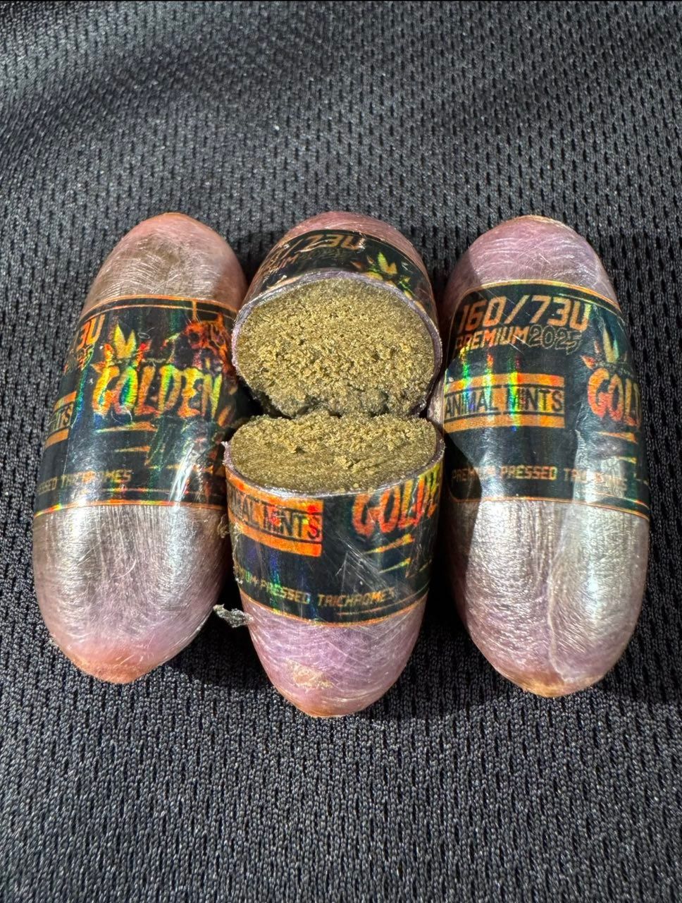 GOLDEN TIGER 160/70U_1