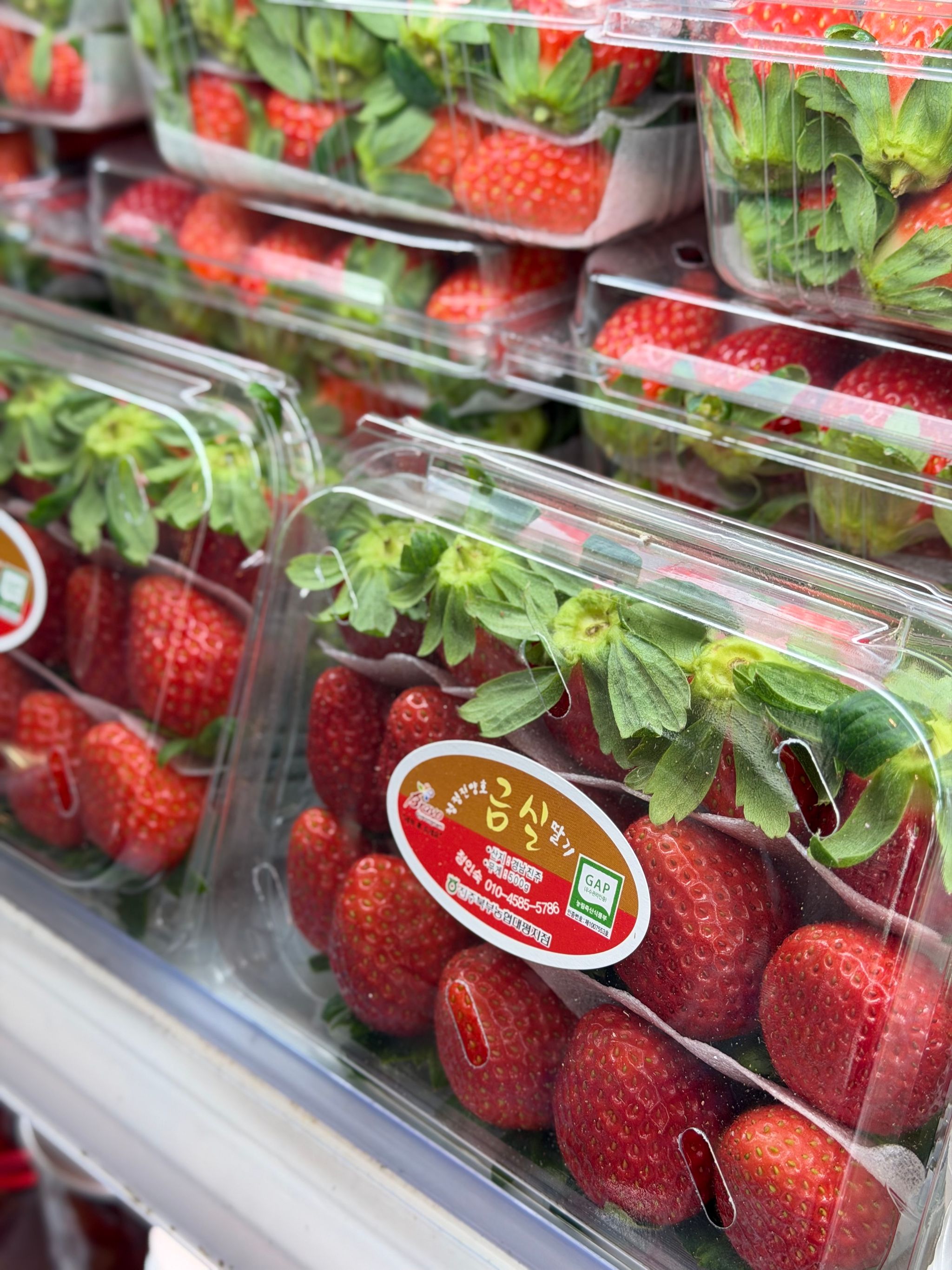 Kumshil Strawberry from Korea 금실딸기_1