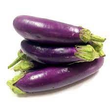Brinjal (Biringanya)_1
