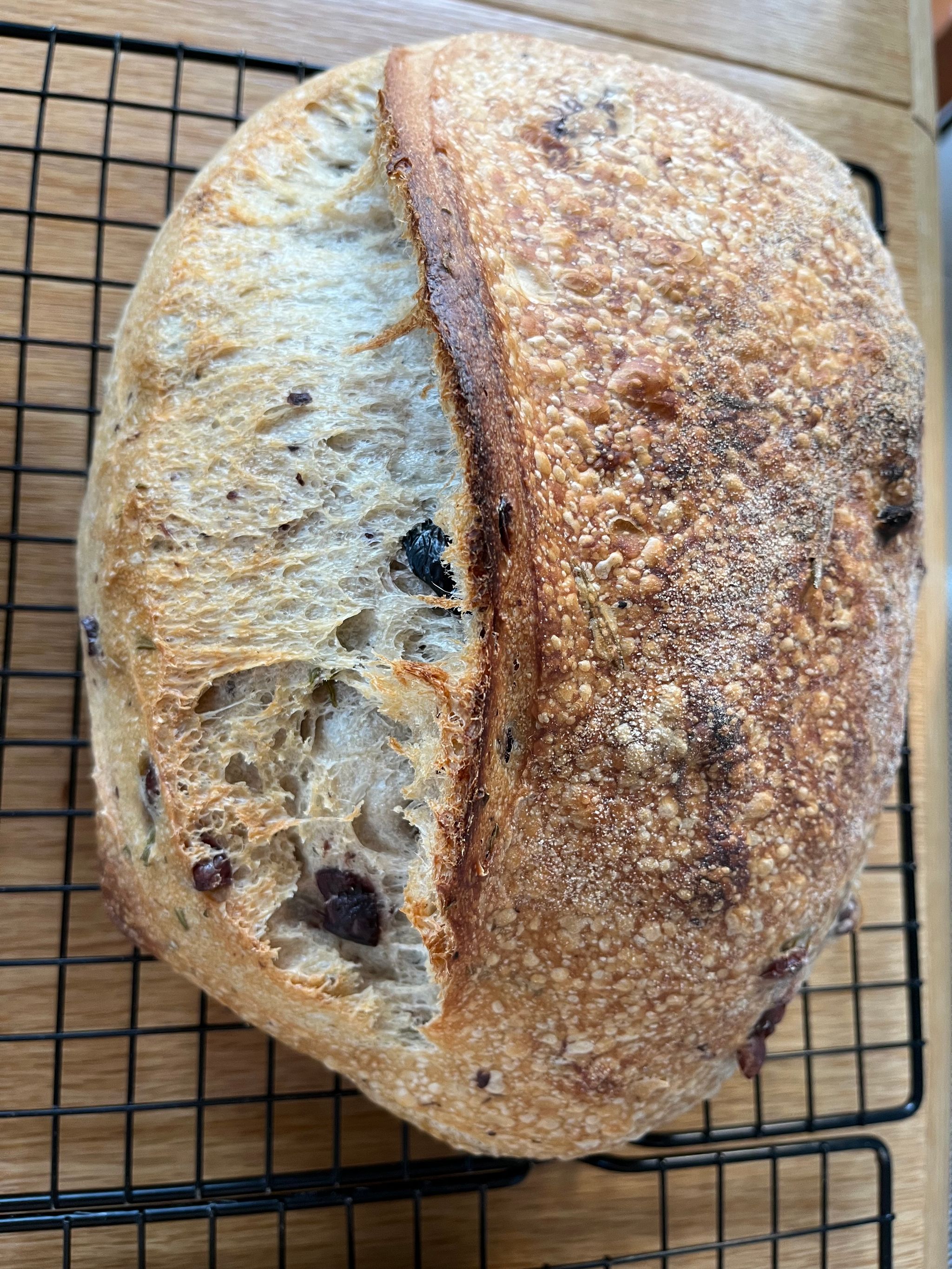 Kalamata Olive & Rosemary Sourdough_0