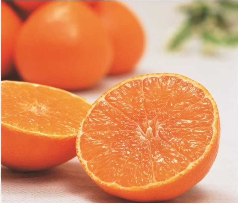 Beni Madonna Orange (紅まどんな) | Ehime Prefecture_0