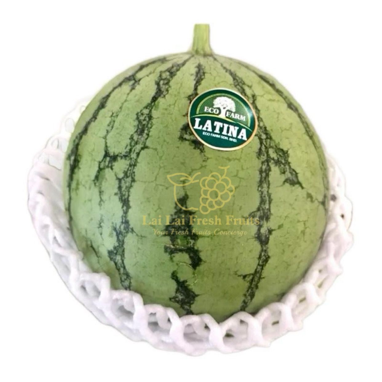 MY Japan Breed Mini Watermelon_0