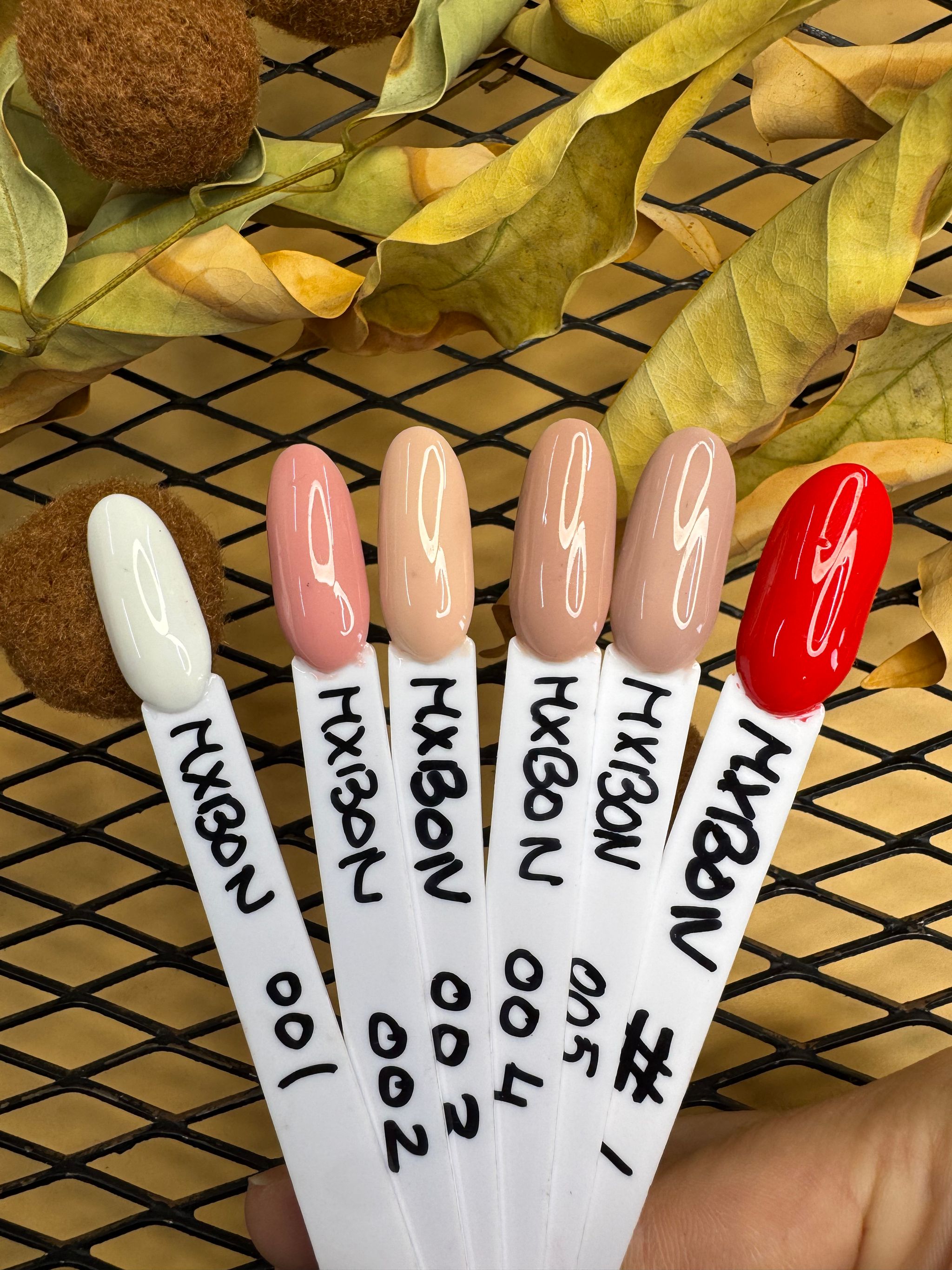 MXbon Nude+Red Series _0