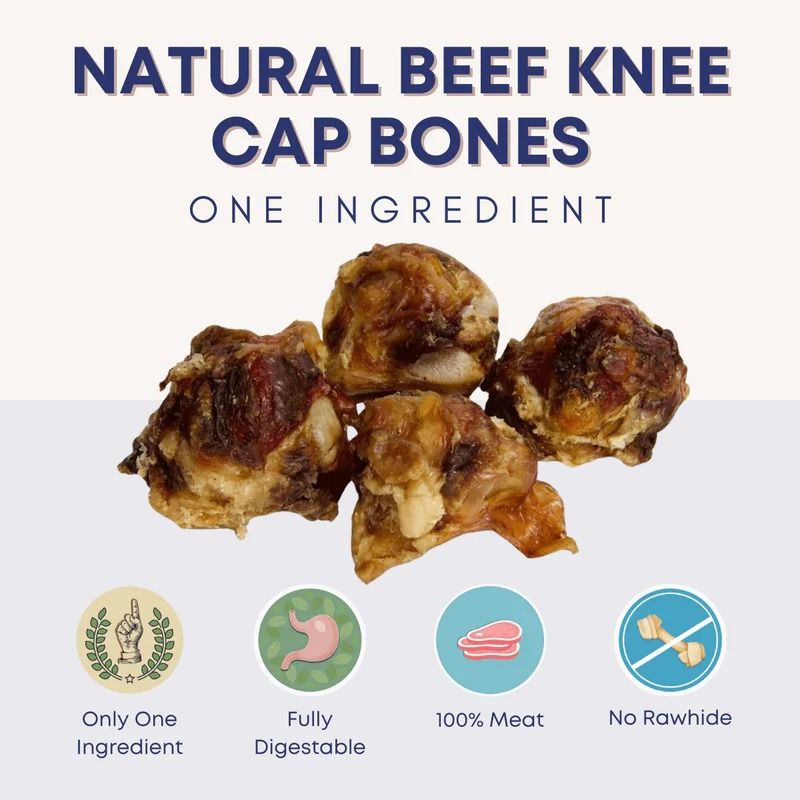 Grass Fed Beef Patella / Beef Knee Bones (Tulang Dengkul) 1kg_4