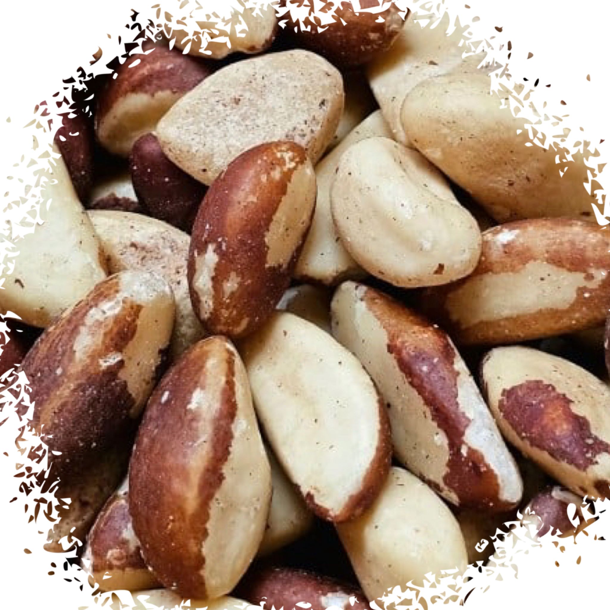 Brazilian almonds لوز برازيلي_0