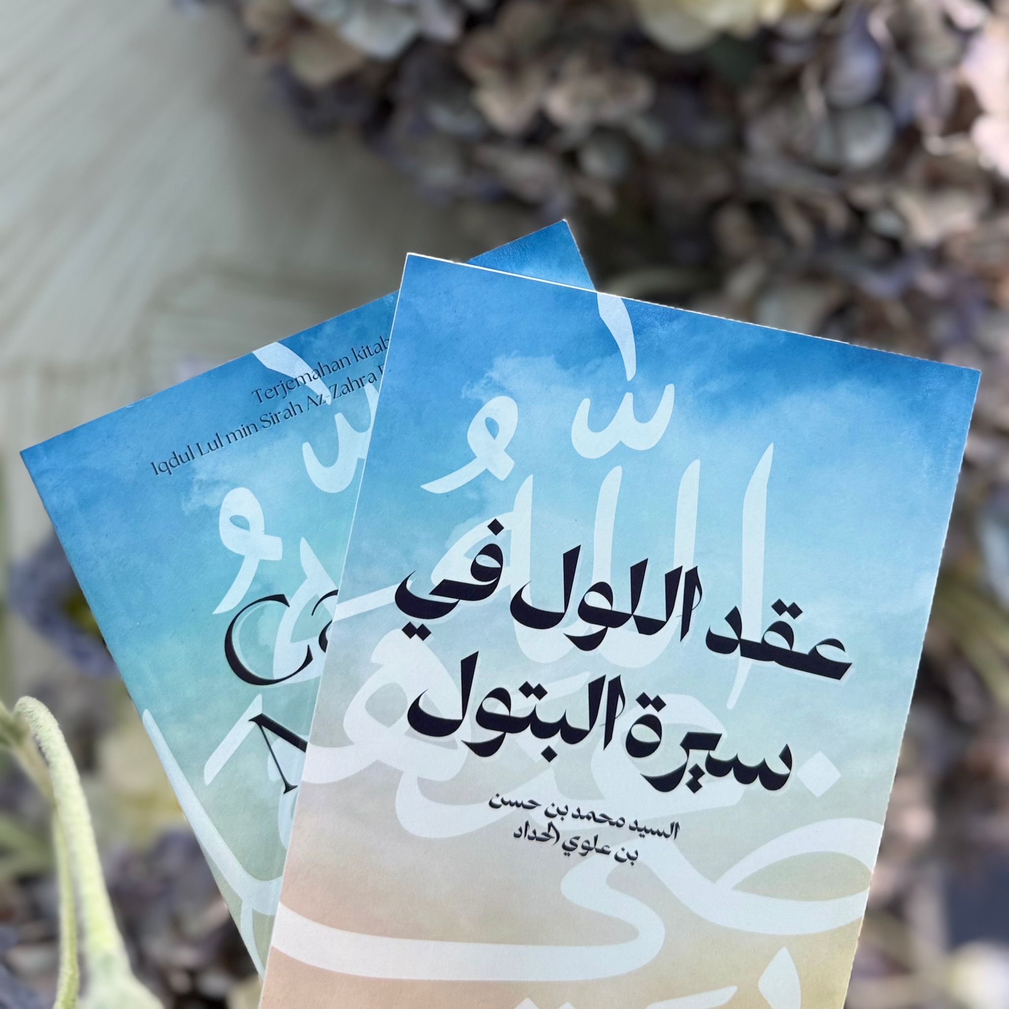 Cahaya Mutiara Kecil : Iqdul Lul_0