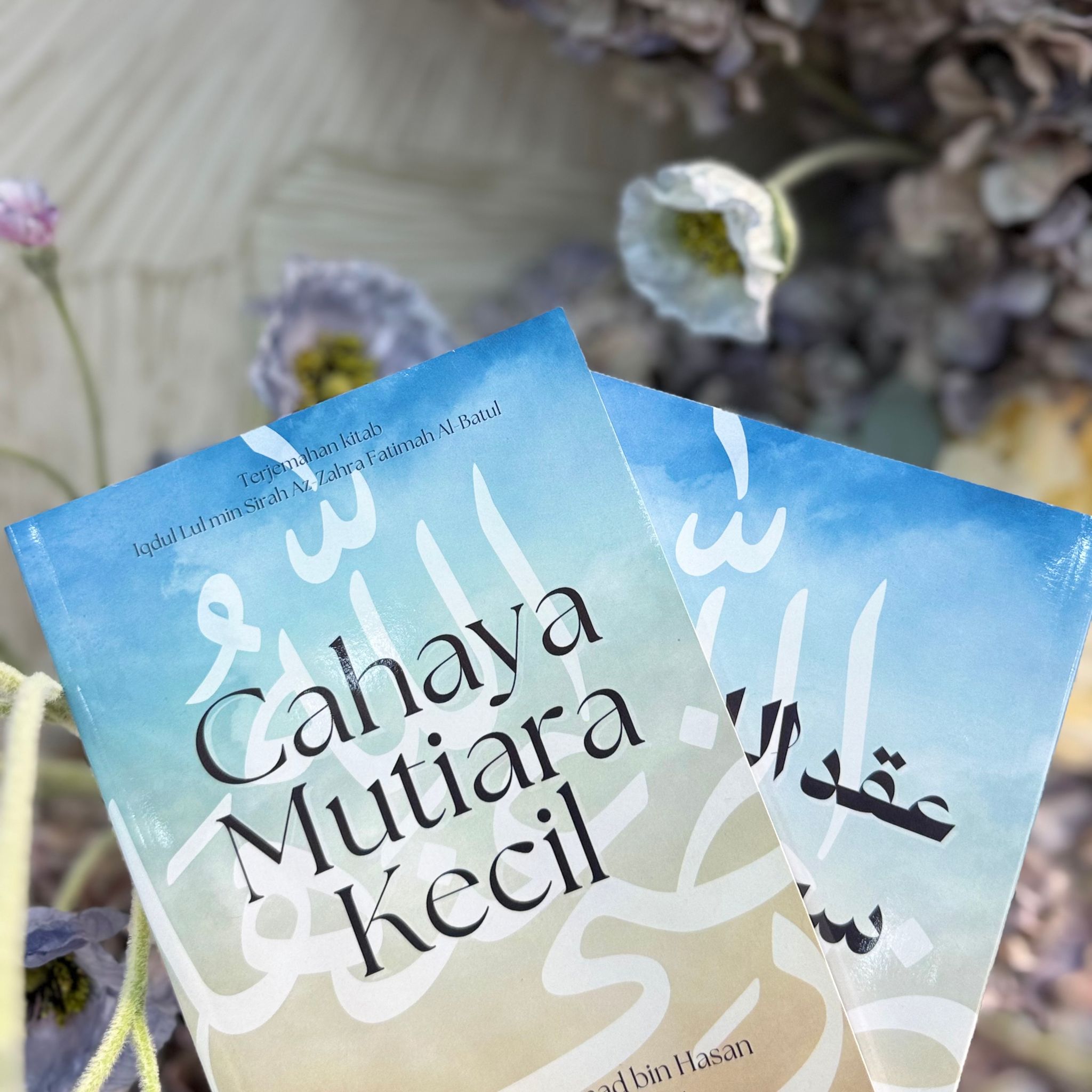 Cahaya Mutiara Kecil : Iqdul Lul_1